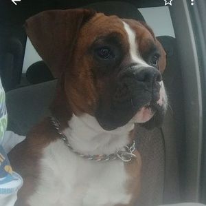 Meet your Posher, Keith